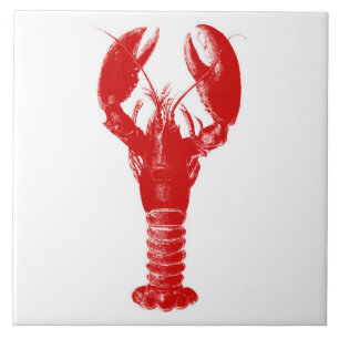 Deep Red Lobster on White Ceramic Tile