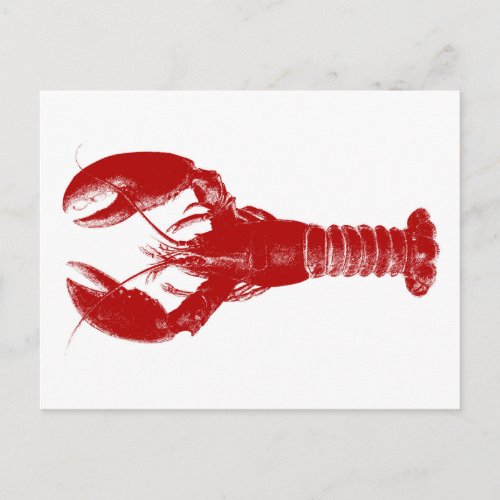 Deep Red Lobster on White Postcard