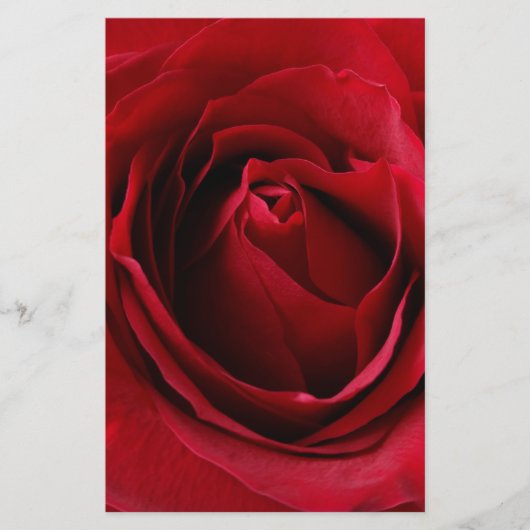 deep red rose (Front)