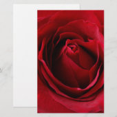 deep red rose (Front/Back)