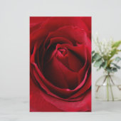 deep red rose (Standing Front)