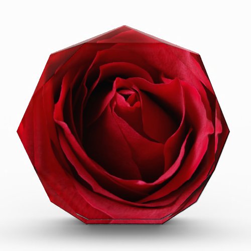 deep red rose acrylic award