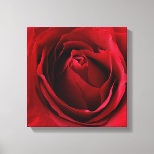 deep red rose canvas print