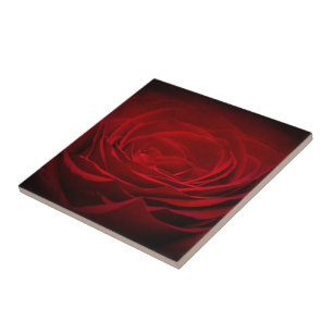 Deep Red Rose Ceramic Tile