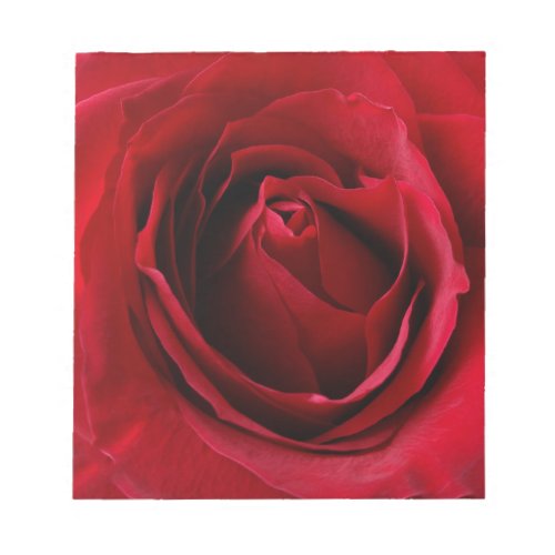 deep red rose notepad