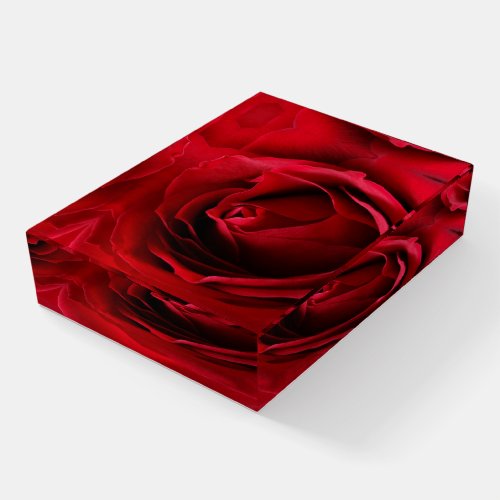 deep red rose paperweight