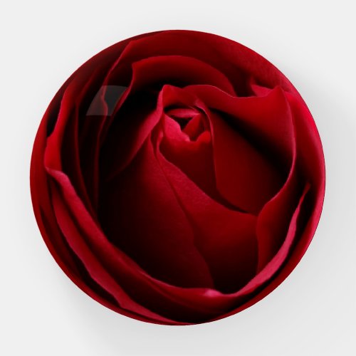 deep red rose paperweight
