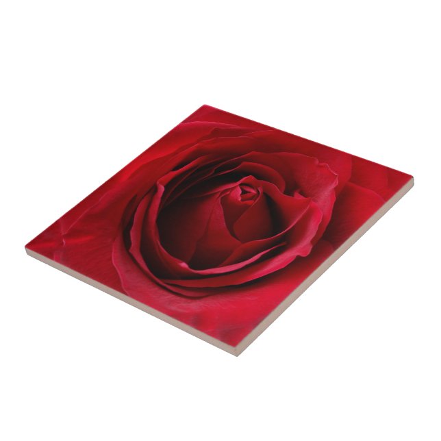 deep red rose tile (Side)