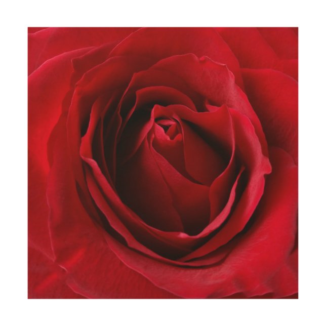deep red rose wood wall decor (Front)