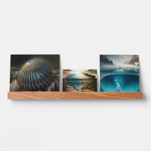 Deep Sea Urchin Picture Ledge