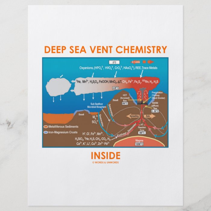 Deep Sea Vent Chemistry Inside Flyer Design