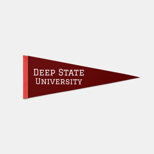 Deep State University Pennant Flag