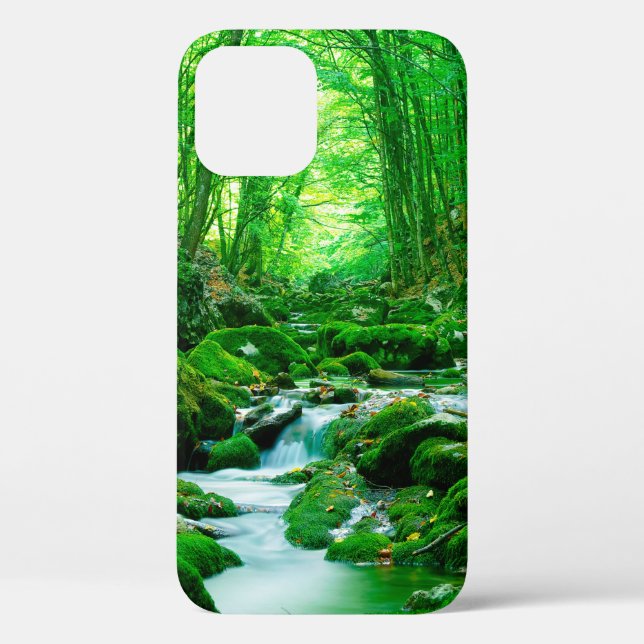 Deep summer woodforest,backwoods,deep,depth,flow,l Case-Mate iPhone case (Back)