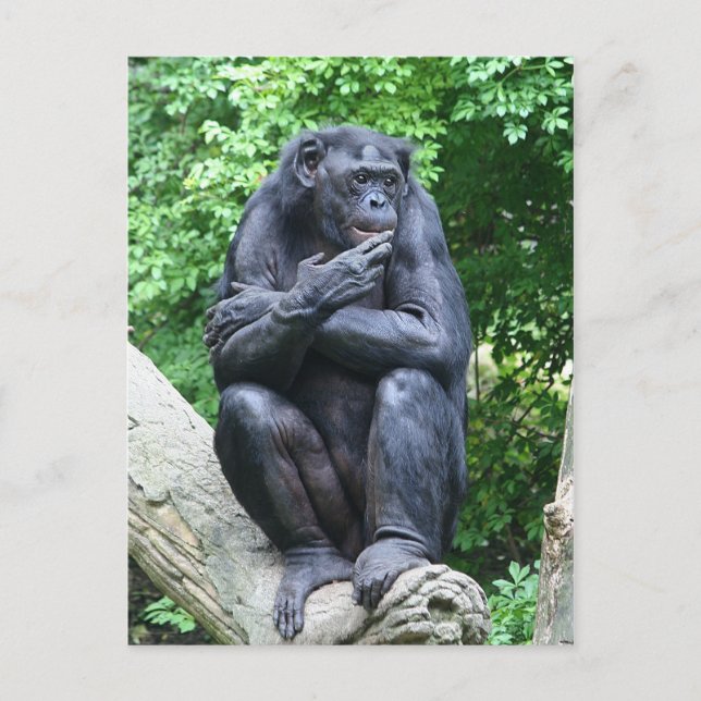 Deep thoughts postcard (Front)