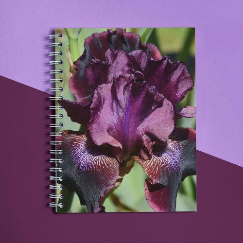 Deep Violet Iris Bloom Floral Notebook