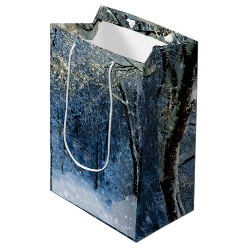 Deep Woods Winter Wonderland Magical Gift Bag