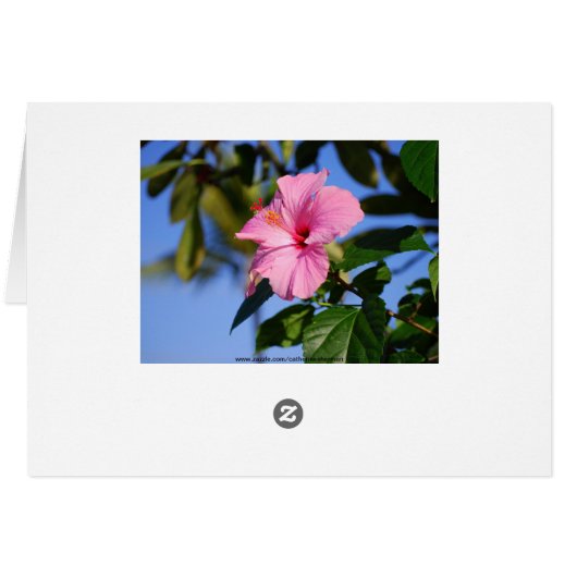 Deep Yellow Hibiscus Card (Back Horizontal)