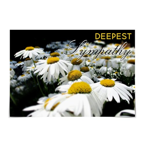 Deepest Sympathy Field of Daisies Card