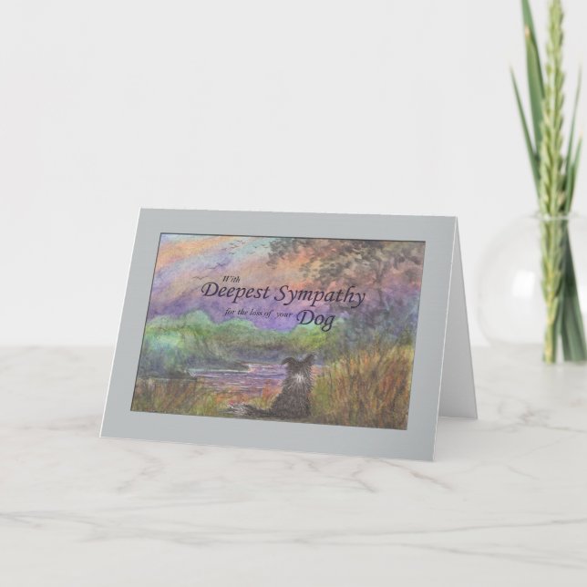 Deepest sympathy, loss of dog, border collie dog card (Front)