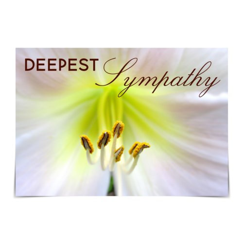 Deepest Sympathy Omas White Lily card
