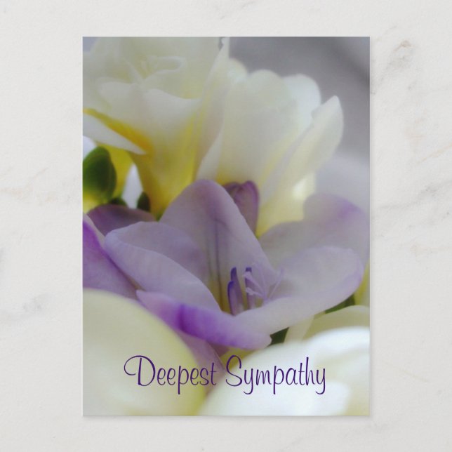 Deepest Sympathy Postcard (Front)