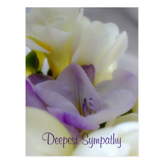 Deepest Sympathy Postcard | Zazzle