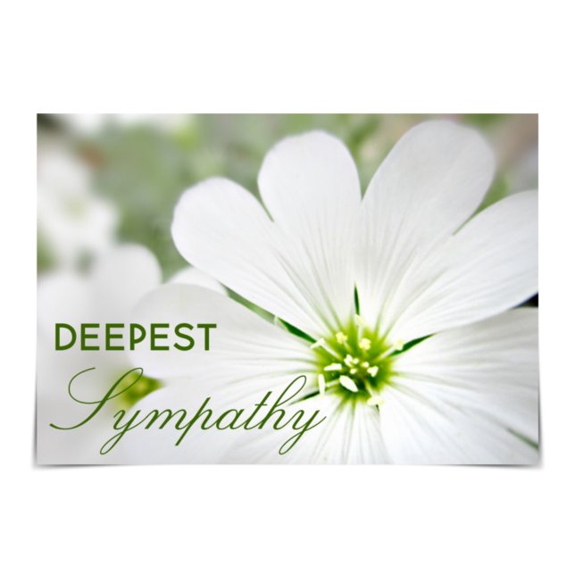 "Deepest Sympathy" Snow-in-Summer Floral Card (Creator Uploaded)