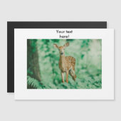 Deer (Front/Back)