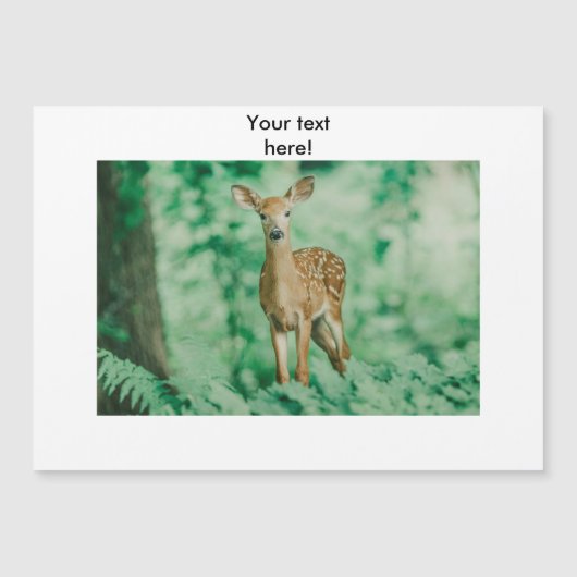 Deer (Front)