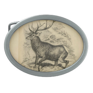 Deer (1849) belt buckle