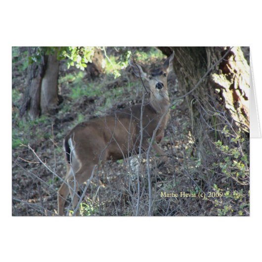 Deer (1a) - Customizable (Front Horizontal)