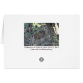 Deer (1a) - Customizable (Back Horizontal)