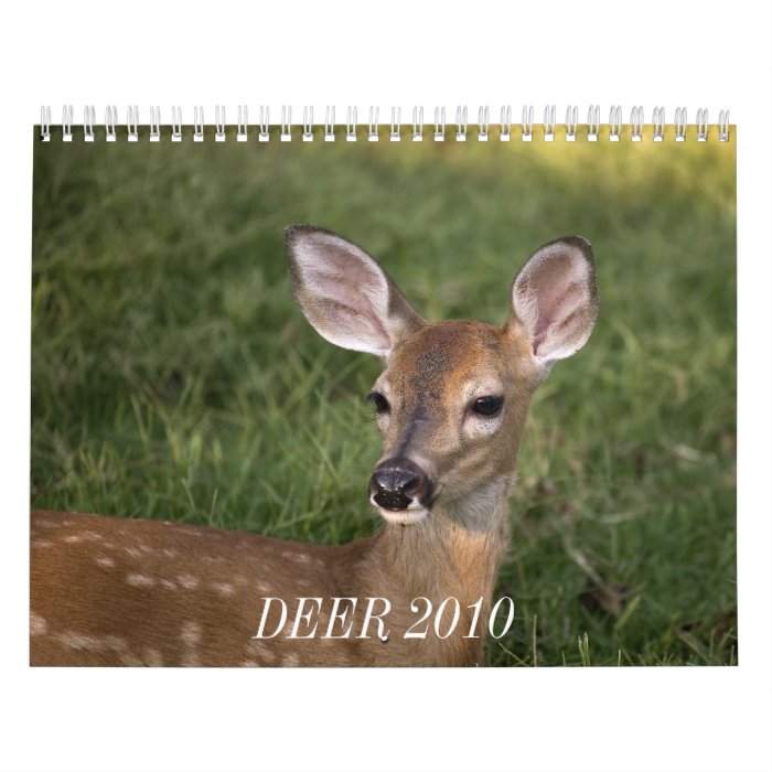 DEER 2010 WALL CALENDAR