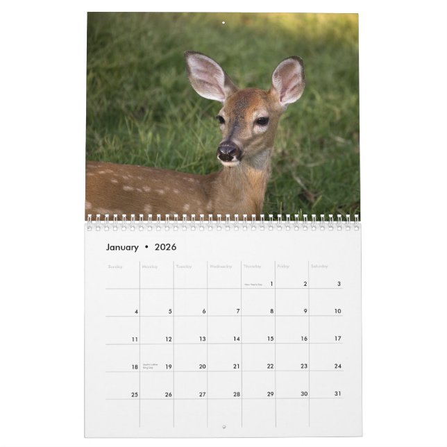 DEER 2010 CALENDAR (Jan 2026)