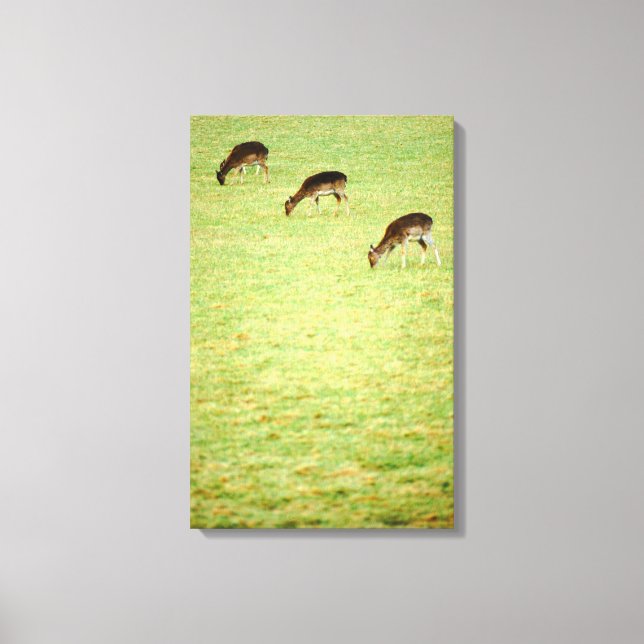 deer 3 canvas print (Front)