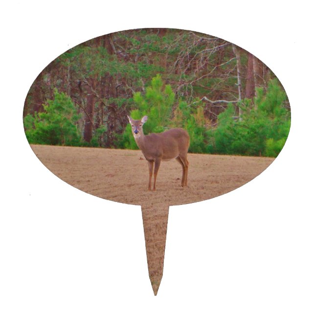 Deer A Doe in the Winter Grass Cake Topper (Front)