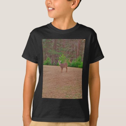 Deer A Doe in the Winter Grass T_Shirt