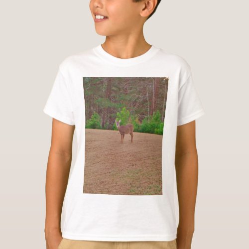 Deer A Doe in the Winter Grass T_Shirt