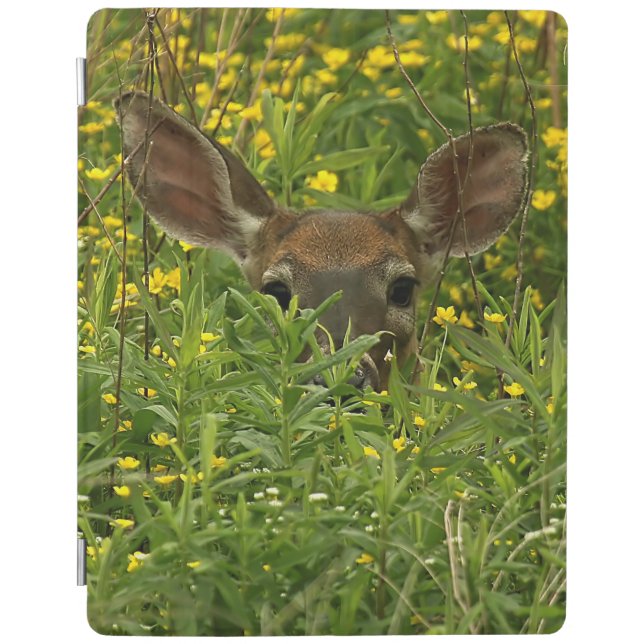 Deer Among Wildflowers iPad Smart Cover (Front)