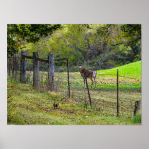 Deer And A Squirrel Painterly Poster