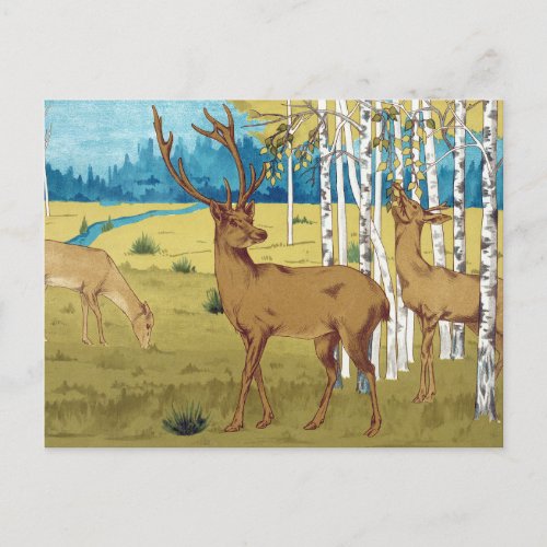 DEER AND ASPEN IN AUTUMN POSTCARD