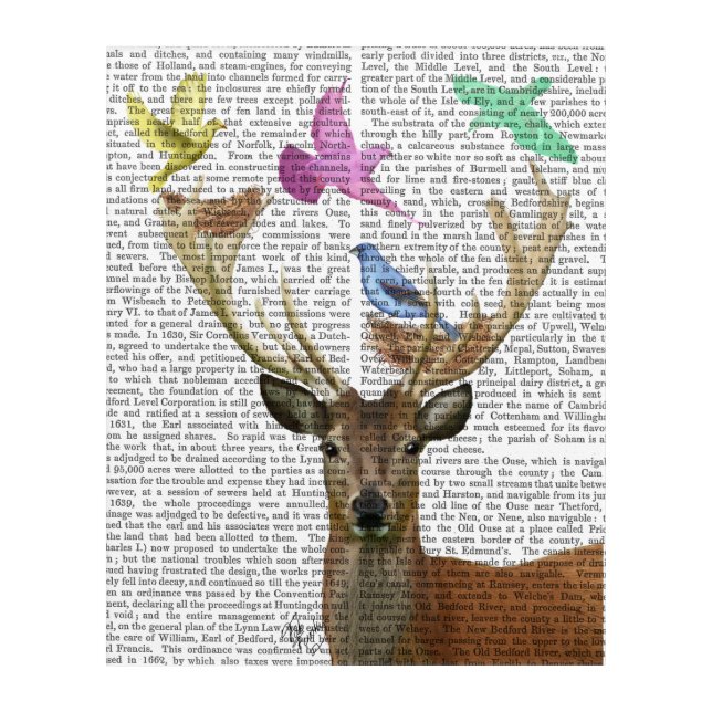 Deer and Birds Nests Pastel Shades Acrylic Print (Front)