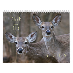 Deer and Elk 2015 Wall Calendar - Wildlife