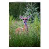Deer and flowers nature photo (Front)