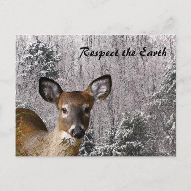 Deer and Frosty Hills Postcard (Front)