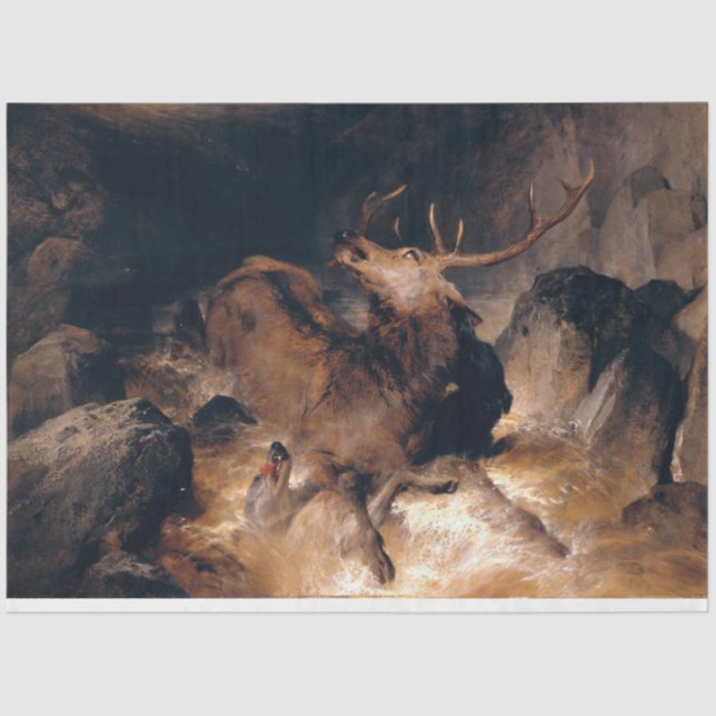 Deer and Hound Dogs in a Mountain Torrent Tissue Paper (Front)