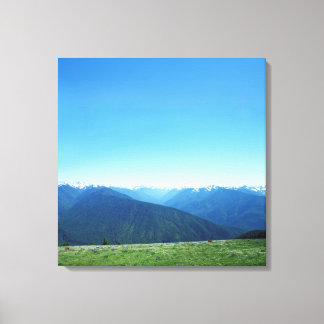 Deer and the Olympics Canvas Print