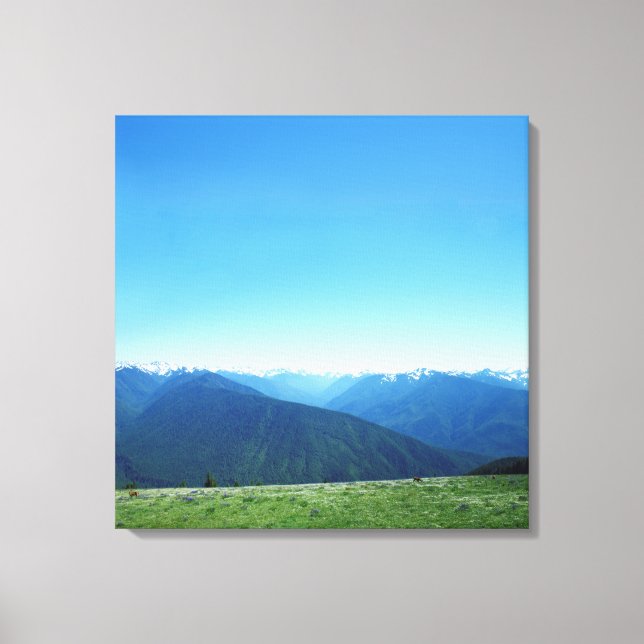 Deer and the Olympics Canvas Print (Front)