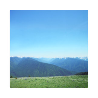 Deer and the Olympics Metal Print