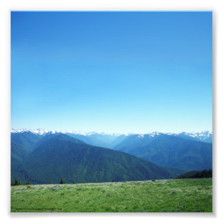 Deer and the Olympics Photo Print